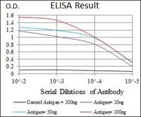 Anti-C/EBP alpha antibody [4E10] used in ELISA (ELISA). GTX60578