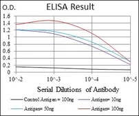 Anti-FGF4 antibody [3A12G9] used in ELISA (ELISA). GTX60748