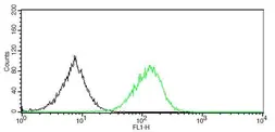 Anti-CD5 antibody [GT0012] used in Flow cytometry (FCM). GTX628424