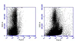 Anti-CD45RA antibody [GT0014] used in Flow cytometry (FCM). GTX628507