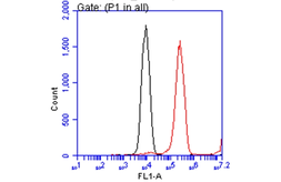 Anti-Glypican-3 antibody [GT764] used in Flow cytometry (FCM). GTX633303