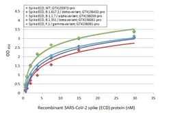 Anti-SARS-CoV-2 (COVID-19) Spike RBD antibody [HL1002] used in ELISA (ELISA). GTX635791