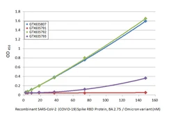 Anti-SARS-CoV-2 (COVID-19) Spike RBD antibody [HL1004] used in ELISA (ELISA). GTX635793