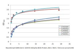 Anti-SARS-CoV-2 (COVID-19) Spike S2 antibody [GT745] used in ELISA (ELISA). GTX636037