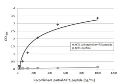 Anti-AKT (phospho Ser473) antibody [HL2971] used in  (). GTX640358
