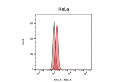 Anti-HRH1 antibody [HL3357] used in Flow cytometry (FCM). GTX641134