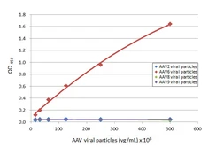 Anti-AAV1 + AAV6 Capsid protein VP1 + VP2 + VP3 antibody [HL5058] used in ELISA (ELISA). GTX645228