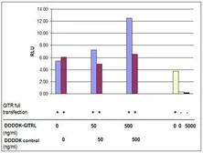 Mouse GITRL protein, DDDDK tag (active). GTX65629-pro
