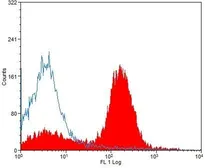 Anti-CD40 antibody [3/23] used in Flow cytometry (FCM). GTX74686