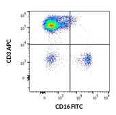 Anti-CD16 antibody [LNK16] (FITC) used in Flow cytometry (FCM). GTX74719