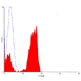 Anti-CD2 antibody [LT2] (FITC) used in Flow cytometry (FCM). GTX74724