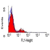 Anti-CD39 antibody [A1] (FITC) used in Flow cytometry (FCM). GTX74822