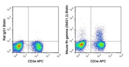 Anti-Interferon gamma antibody [XMG1.2] (Biotin) used in Flow cytometry (FCM). GTX75118