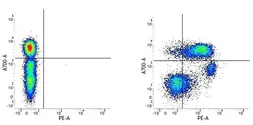 Anti-CD55 antibody [67] (PE) used in Flow cytometry (FCM). GTX75214