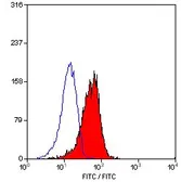 Anti-CD1a antibody [NA1/34-HLK] (FITC) used in Flow cytometry (FCM). GTX76535