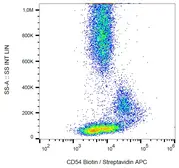 Anti-ICAM1 / CD54 antibody [1H4] (Biotin) used in Flow cytometry (FCM). GTX78388