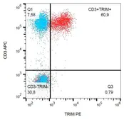 Anti-TRIM antibody [TRIM-04] (PE) used in Flow cytometry (FCM). GTX79872