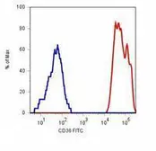 Anti-CD36 antibody [TR9] (FITC) used in Flow cytometry (FCM). GTX79880