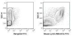 Anti-Ly6g antibody [RB6-8C5] (FITC) used in Flow cytometry (FCM). GTX79898