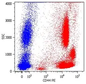 Anti-CD44 antibody [MEM-85] (PE) used in Flow cytometry (FCM). GTX79924