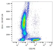 Anti-CD2 antibody [MEM-65] (PE) used in Flow cytometry (FCM). GTX79929