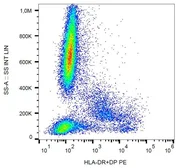 Anti-HLA-DR + HLA-DP antibody [MEM-136] (PE) used in Flow cytometry (FCM). GTX80015