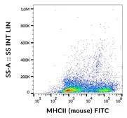 Anti-MHC Class II antibody [M5/114] (FITC) used in Flow cytometry (FCM). GTX80040