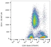 Anti-CD81 antibody [M38] (Biotin) used in Flow cytometry (FCM). GTX80041-02
