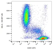 Anti-CD81 antibody [M38] (APC) used in Flow cytometry (FCM). GTX80041-07