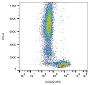 Anti-CD229 antibody [HLy9.25] (APC) used in Flow cytometry (FCM). GTX80097