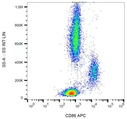Anti-CD86 antibody [BU63] (APC) used in Flow cytometry (FCM). GTX80210
