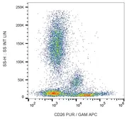 Anti-CD26 antibody [BA5b] used in Flow cytometry (FCM). GTX80222