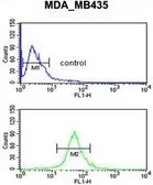 Anti-GABA A Receptor delta antibody, Internal used in Flow cytometry (FCM). GTX80429