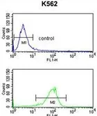 Anti-Sodium/Potassium ATPase beta 2 antibody, Internal used in Flow cytometry (FCM). GTX80450