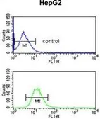 Anti-EFEMP2 antibody, C-term used in Flow cytometry (FCM). GTX80452