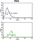 Anti-CDC2L6 antibody, Internal used in Flow cytometry (FCM). GTX80572