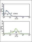 Anti-APEX2 antibody, Internal used in Flow cytometry (FCM). GTX80642