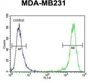Anti-EMX1 antibody, C-term used in Flow cytometry (FCM). GTX80913