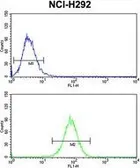 Anti-Dynamin 3 antibody, Internal used in Flow cytometry (FCM). GTX80993