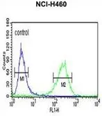 Anti-PISD antibody, Internal used in Flow cytometry (FCM). GTX80997