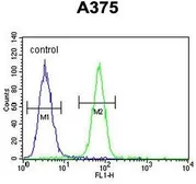 Anti-DERA antibody, N-term used in Flow cytometry (FACS). GTX81043