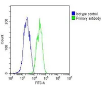 Anti-Interferon beta antibody, N-term used in Flow cytometry (FCM). GTX81187