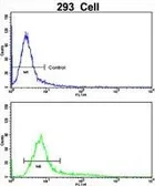 Anti-CKIP1 antibody, N-term used in Flow cytometry (FCM). GTX81213
