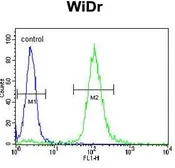 Anti-TrkA antibody used in Flow cytometry (FCM). GTX81329