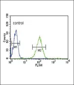 Anti-eNOS antibody, N-term used in Flow cytometry (FCM). GTX81622