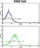 Anti-UNC5C antibody, Internal used in Flow cytometry (FCM). GTX81651