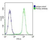 Anti-RAIN antibody, Internal used in Flow cytometry (FCM). GTX81679