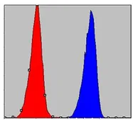 Anti-IKK alpha antibody [3G12H9] used in Flow cytometry (FCM). GTX82770