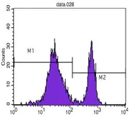 Anti-CD4 antibody [B486A1] used in Flow cytometry (FCM). GTX83297