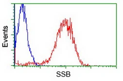 Anti-SSB antibody [3H9] used in Flow cytometry (FCM). GTX83560